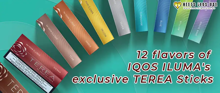 A Review and Comparison of 12 Flavors of IQOS ILUMAs Exclusive TEREA Sticks